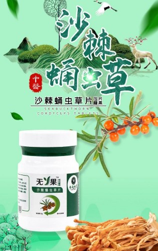 东升伟业《沙棘蛹虫草片》介绍