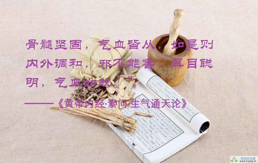 怎么补骨髓和脑髓？益多散补骨髓？哪些食物补骨髓造血? 补骨髓食品