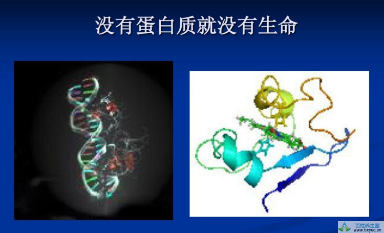 肽合成与衰老的关系，补肽的健康收益