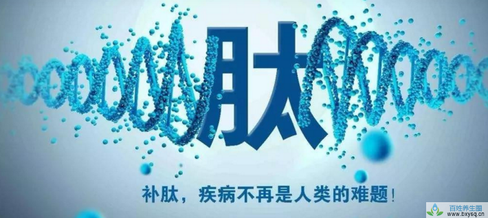 肽与失眠.png