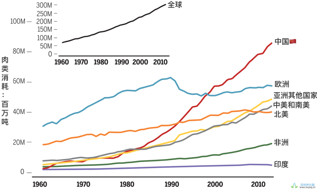 【科普营养】2020年营养学值得记住的5大话题