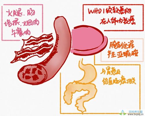 【科普营养】2020年营养学值得记住的5大话题